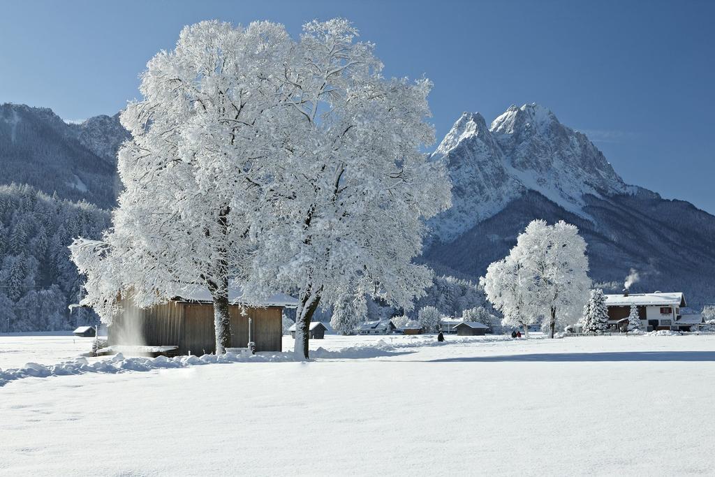 Sir George * Garmisch-Partenkirchen